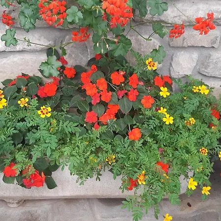 Ristorante Guerri Hotel