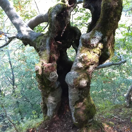 Ristorante Guerri Hotel Pievepelago