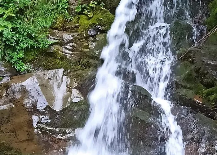 Ristorante Guerri Hotel