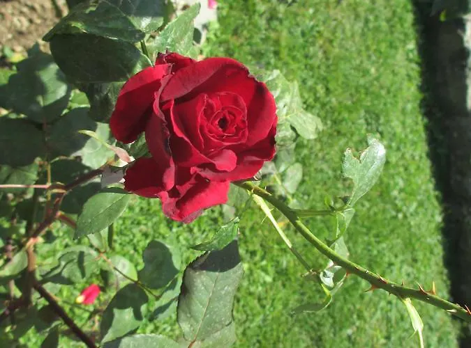 Hotel Ristorante Guerri Pievepelago