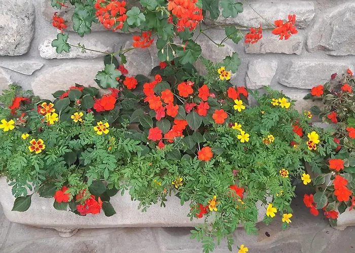 Ristorante Guerri Hotel