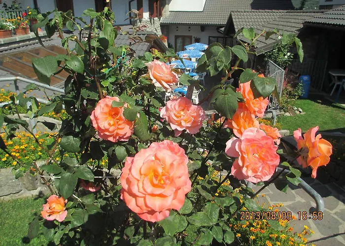 Hotel Ristorante Guerri 2*