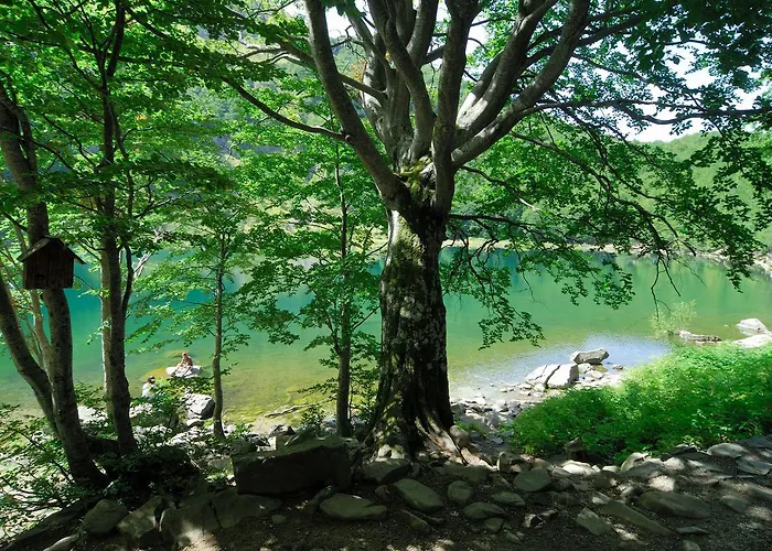 Ristorante Guerri Pievepelago